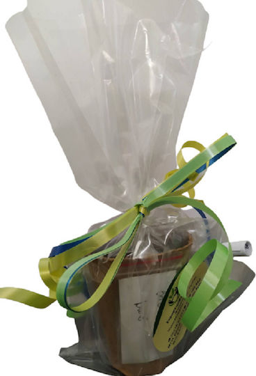 Party Gifts 10 pieces Small biodegradable pot 9x7cm, Ready for Planting with Soil and Basil Seeds