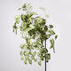 Supergreens Hanging Artificial Plant Κολεός Blumei Rainbow Green 70cm 1pcs