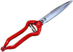 Pruning Shears 30cm