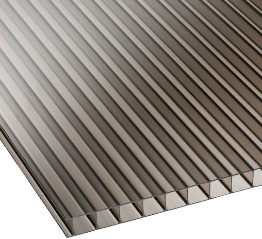 Showood Polycarbonat Platte L2.1xB2m mit Dicke 10mm 211003-2