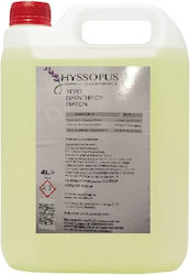 Hyssopus Επαγγελματικό Υγρό Πλυντηρίου Πιάτων 4lt Hyssopus Επαγγελματικό Υγρό Πλυντηρίου Πιάτων 4lt