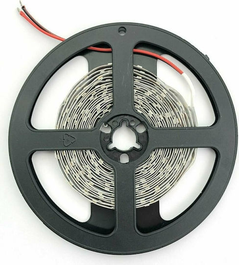 Avide Ταινία LED 12V Φυσικό Λευκό Φως 30m Τύπου SMD2835