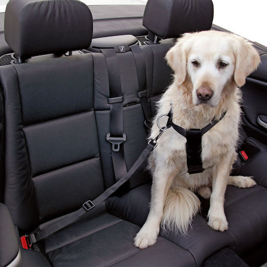 Kerbl Seatbelt Car for Dog Dog and Cat Chest Harness 70-90cm. Black