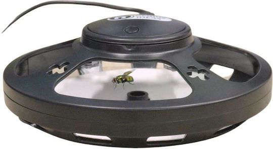 Genius Ideas Insektenvernichter Produkttyp Elektrisch mit Ventilator