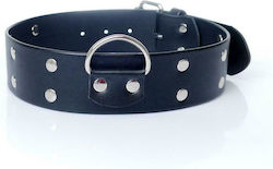 Collar Collar With Studs 4cm Vegan Leather in Black Color