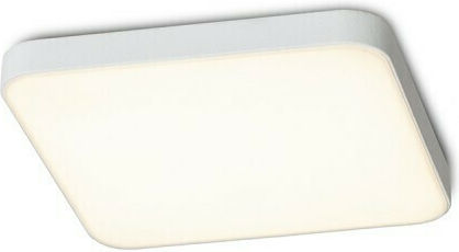 Rendl Light Studio Πλαφονιέρα Οροφής 9εκ. Λευκή με Ενσωματωμένο LED