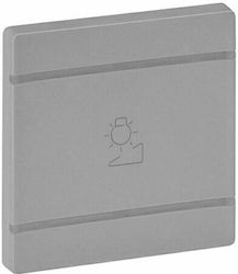 Legrand Valena Life Power Socket Front in Silve...