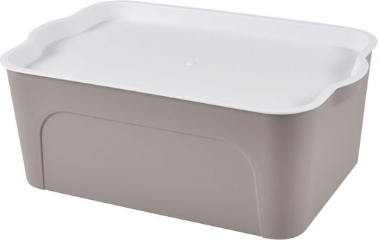 Kunststoff Aufbewahrungsbox mit Deckel Taupe 28x18x10.5cm 1Stück
