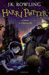 Harry Potter and the Philosopher's Stone, Harri Potter a maen yr Athronydd