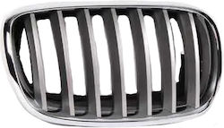 Carner Car Decorative Mask BMW X5 (E70) / X6 (E71) / X5 / X6