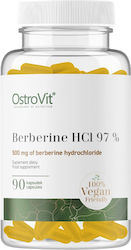 OstroVit Berberine HCl 97% 90 κάψουλες