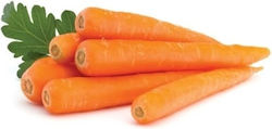 Evotris Nantes 2- 3,5gr Seeds Carrot