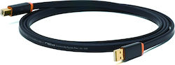 Oyaide USB 2.0 Kabel USB-A-Stecker - USB-B-Stec...