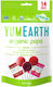 YumEarth Γλειφιτζούρια Organic Pops με Γεύση Κεράσι, Μήλο, Σταφύλι 87gr 14τμχ