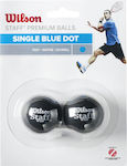 Wilson Staff Single Blue Dot Squash Balls 2pcs