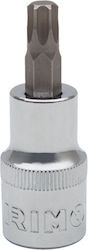 Irimo Καρυδάκι με Μύτη Torx και Καρέ Υποδοχής 1/2'' Irimo Καρυδάκι με Μύτη Torx και Καρέ Υποδοχής 1/2''