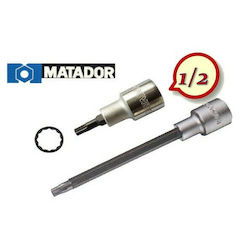 Matador Walnut with Spline Head and Socket 1/2'' Size M5x60mm 1pcs