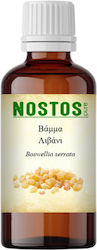 Nostos Pure Βάμμα Λιβάνι 100ml