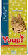 OMEGA Youpi Menu Dry Adult Cat Food with Chicke...