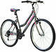 Alpina Alpha 26" 2022 Gray Mountainbike mit 21 ...