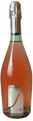 Sacchetto Bio Rosé Trocken Schaumwein 750ml