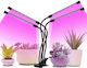 Led7 Grow Light