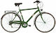 Alpina Roxy Man 28" 2022 Green Bike City with S...