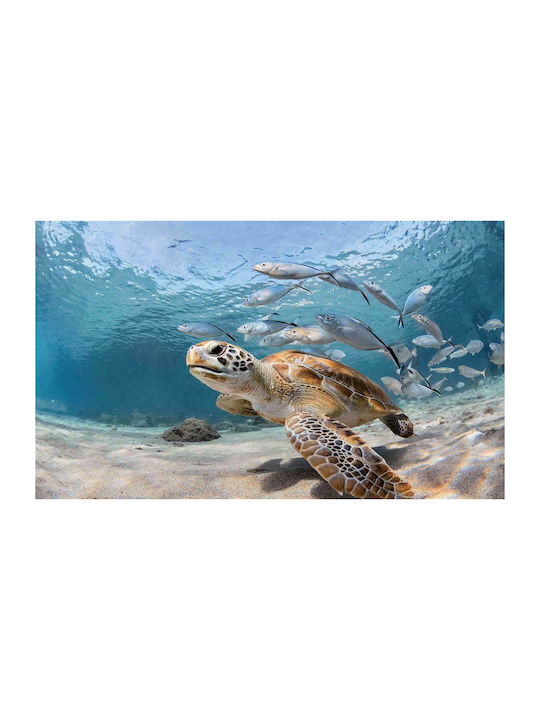 Dimcol Αντιολισθητικό Πατάκι Μπάνιου Sea Turtle 261 33463058005 Πολύχρωμο 50x85εκ.