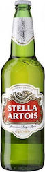 Stella Artois Lager Flasche 6x330ml