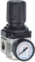 Maestro 210649 Regulator de filtrare