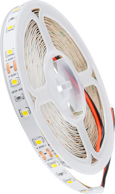 GloboStar Bandă LED Alimentare 12V cu Lumină Alb Natural Lungime 5m și 60 LED-uri pe Metru SMD2835