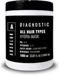 Absoluk Hair Care Diagnostic All Hair Types Hair Mask 1000ml