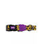 Zee-Dog Honey Κολάρο Σκύλου Medium 20mm x 37 - 53cm