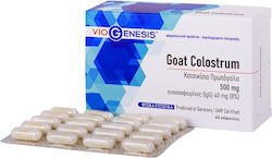 Viogenesis Colostru de Capră 500mg 60 Capsule