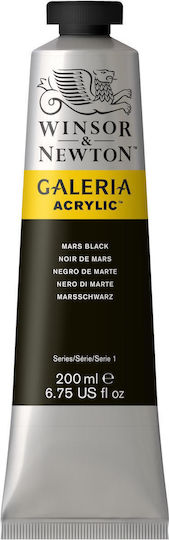 Winsor & Newton Acrylic Paint Set Ivory Black 200ml 1pcs