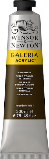 Winsor & Newton Acrylic Paint Set in Brown color Raw Umber 200ml 1pcs