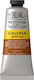 Winsor & Newton Acrylic Paint Set in Brown color Burnt Sienna Opaque 60ml 1pcs
