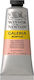 Winsor & Newton Acrylic Paint Set in Pink color Pale Terracotta 60ml 1pcs