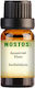 Nostos Pure Aromatic Oil Sandalwood 10ml