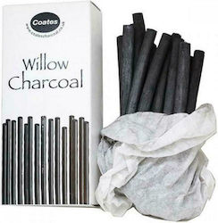 Winsor & Newton Kohle Malerei 1Stück