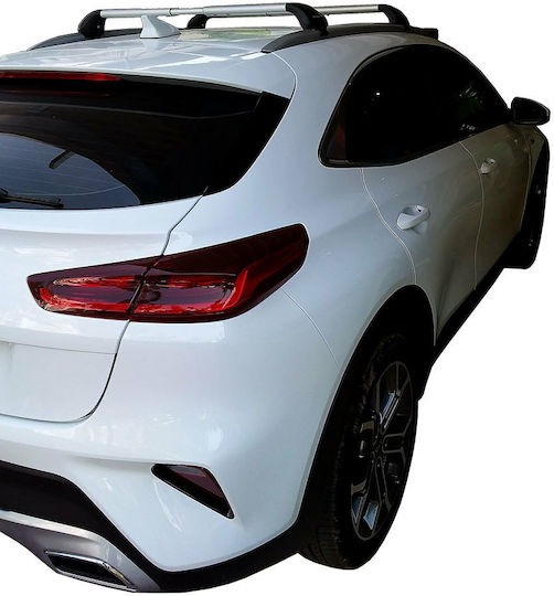 Nordrive für Opel Grandland X 2017+ (mit Dachträgerfüßen)