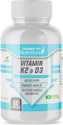 tbJp Vitamin K2 & D3 Βιταμίνη 60 κάψουλες tbJp Vitamin K2 & D3 Βιταμίνη 60 κάψουλες