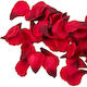 Rose Petals Set of 100pcs 446625