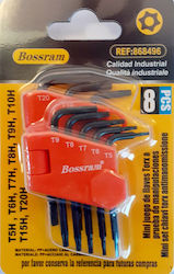 Set mit 8 Torx-Schlüsseln