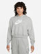 Nike Women's Cropped Hooded Fleece Sweatshirt Gray