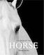 The Book of the Horse