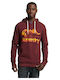 Sweatshirt with Hood Burgundy
