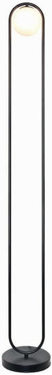 Inlight 45015 Floor Lamp H160cm. Black