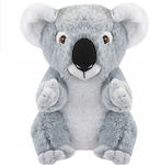 443236, PMS, Lutrino Koala, 20cm