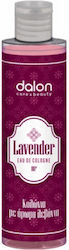 Dalon Lavender Dalon Lavender